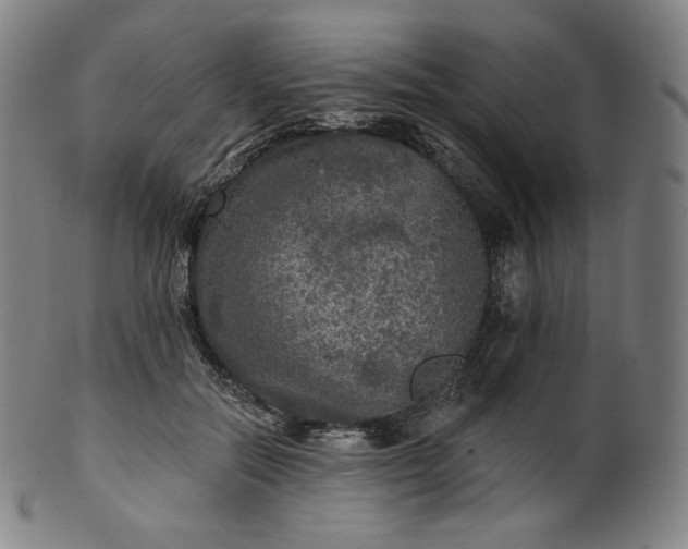 X0000099950554200806061544