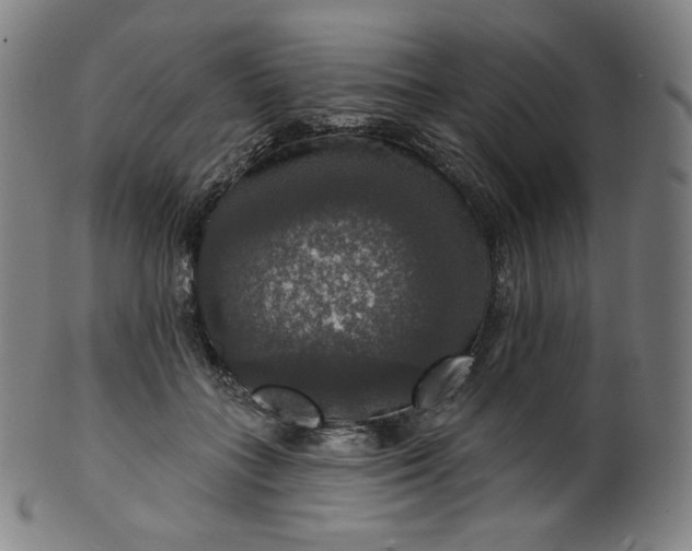 X0000099950555200806061544