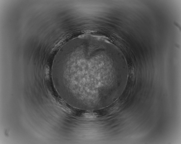 X0000099950556200806061544