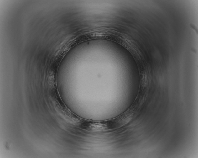 X0000099950557200806061544