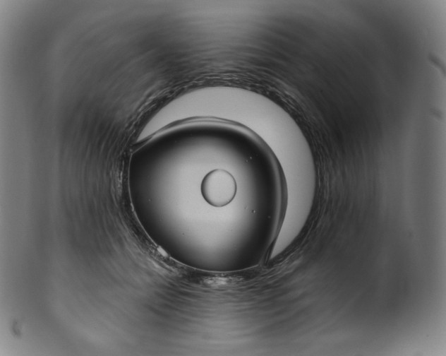 X0000099950558200806061544