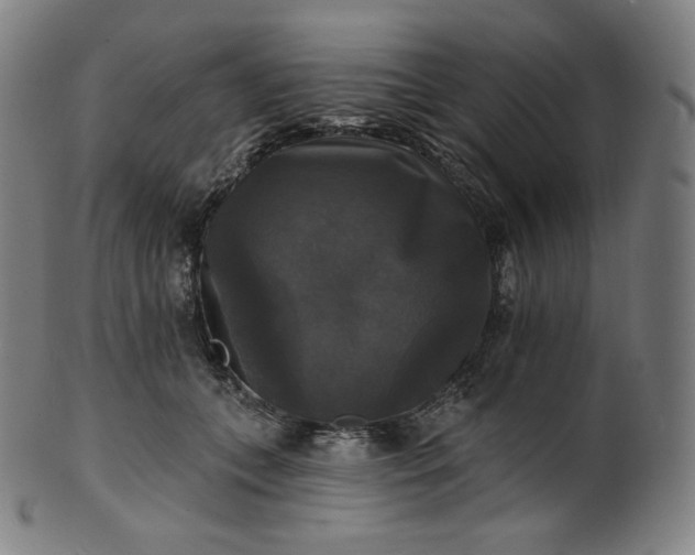 X0000099950559200806061545