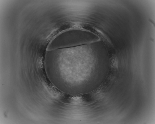 X0000099950560200806061545