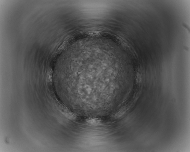 X0000099950561200806061545