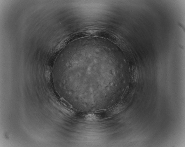 X0000099950562200806061545