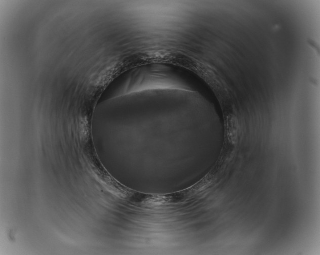 X0000099950563200806061545