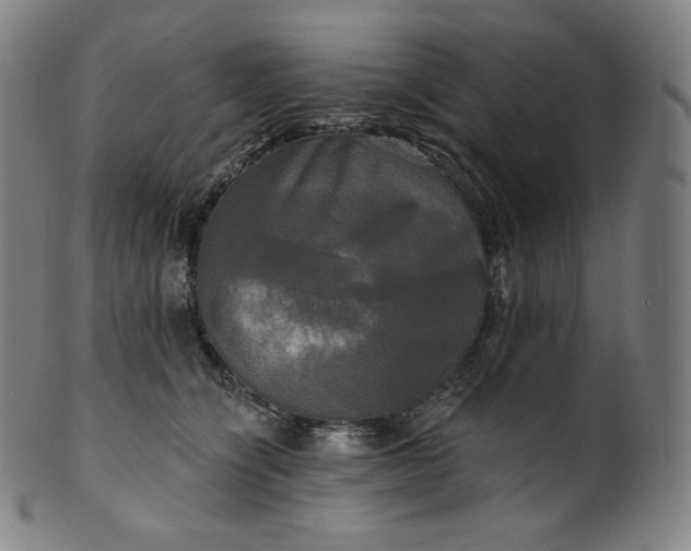 X0000099950564200806061545