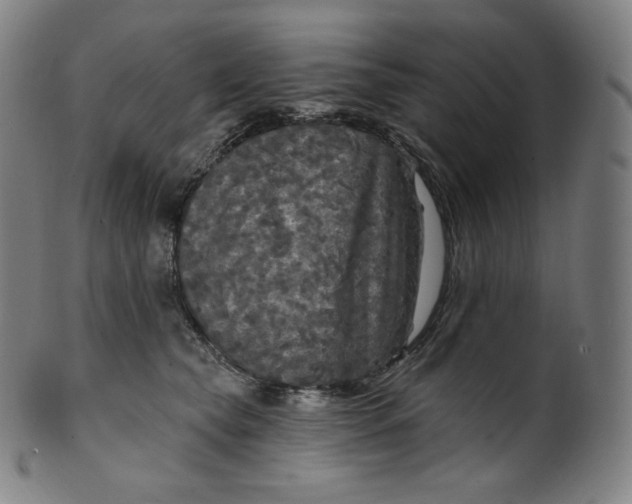 X0000099950565200806061545