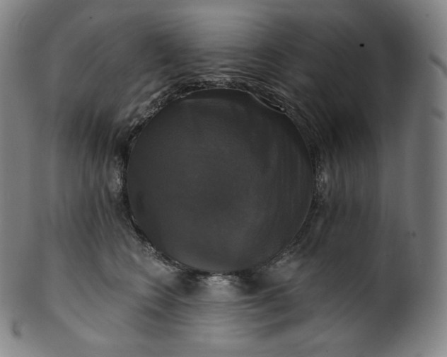 X0000099950566200806061545