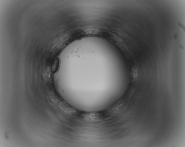 X0000099950567200806061545