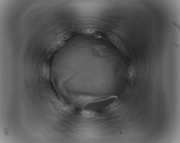 X0000099950568200806061545