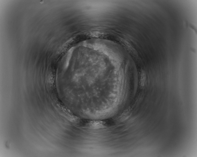 X0000099950569200806061545