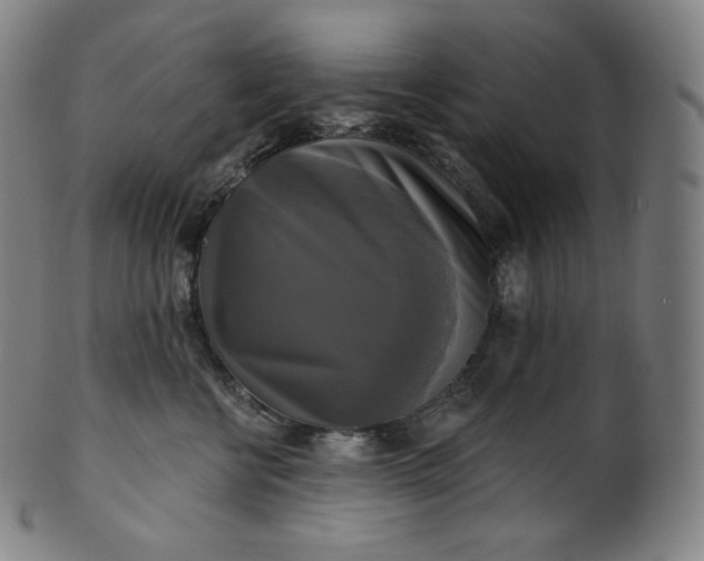 X0000099950570200806061545