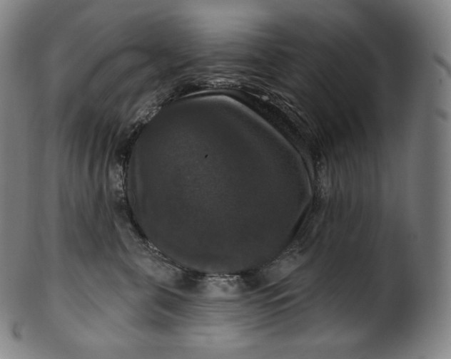 X0000099950571200806061545