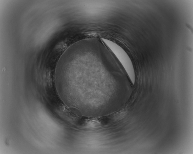 X0000099950572200806061545