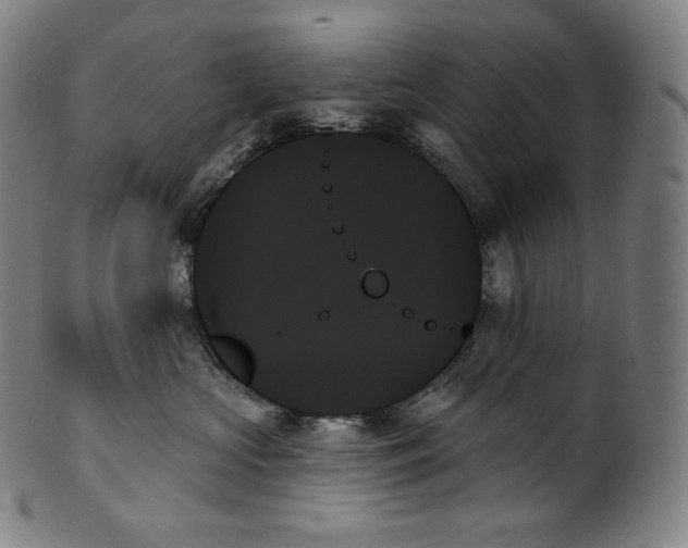 X0000099950573200806061545