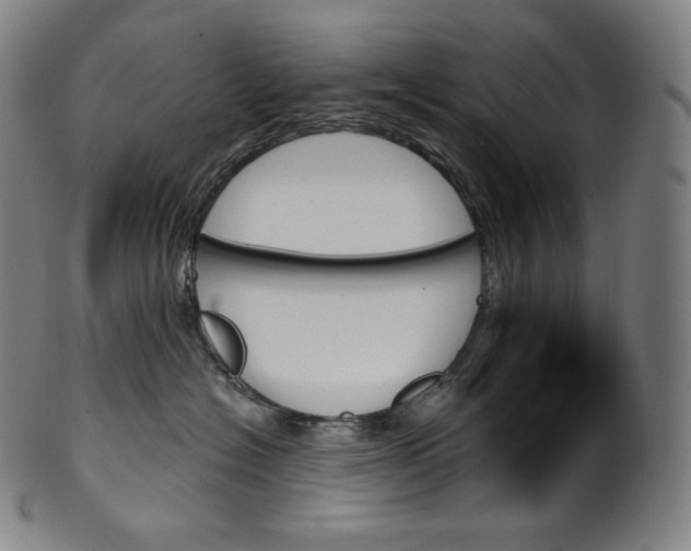 X0000099950574200806061545