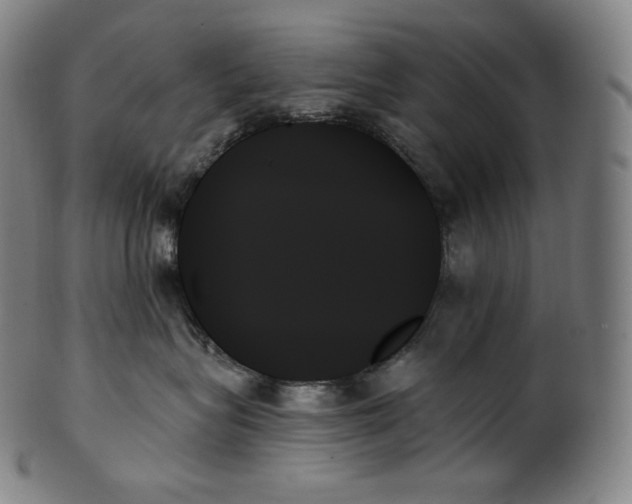 X0000099950575200806061545