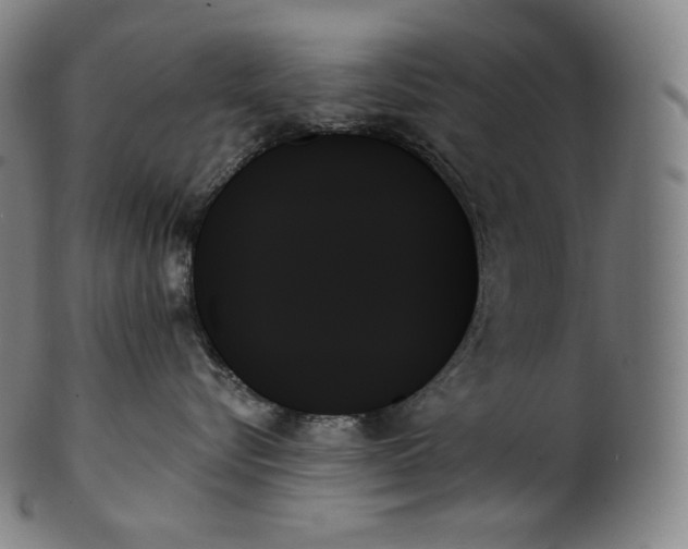 X0000099950576200806061545