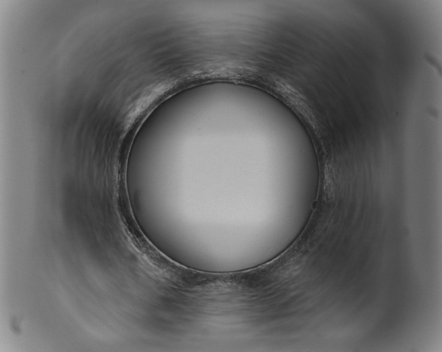 X0000099950578200806061544