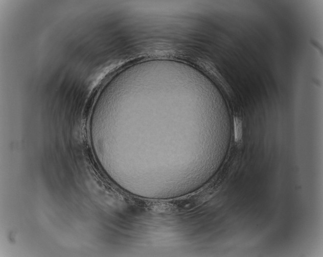 X0000099950579200806061544