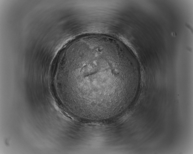 X0000099950580200806061544