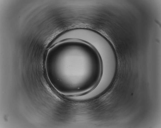 X0000099950581200806061544