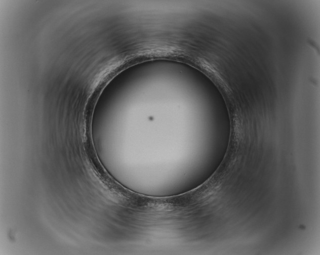 X0000099950582200806061544