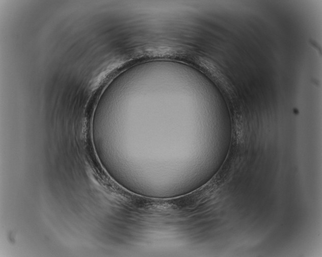 X0000099950583200806061544