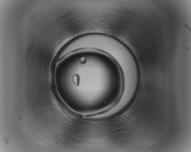 X0000099950584200806061544