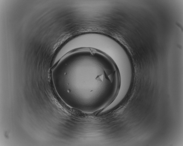 X0000099950585200806061544