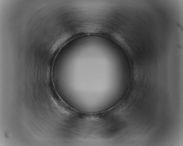 X0000099950586200806061544