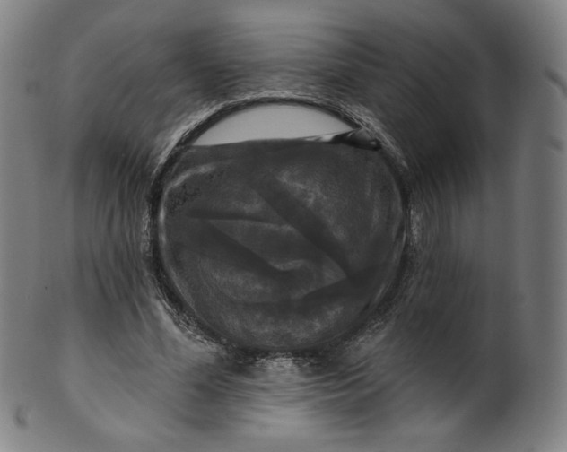 X0000099950588200806061544