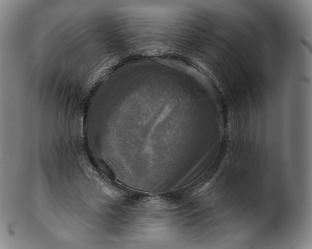 X0000099950589200806061544