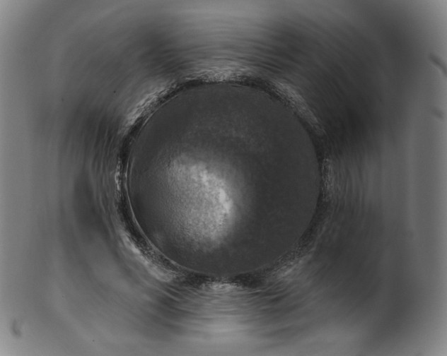 X0000099950590200806061544