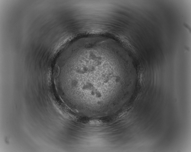 X0000099950591200806061544