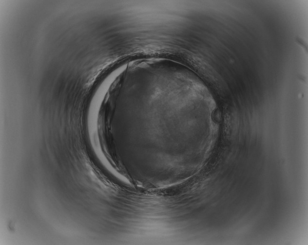 X0000099950592200806061544