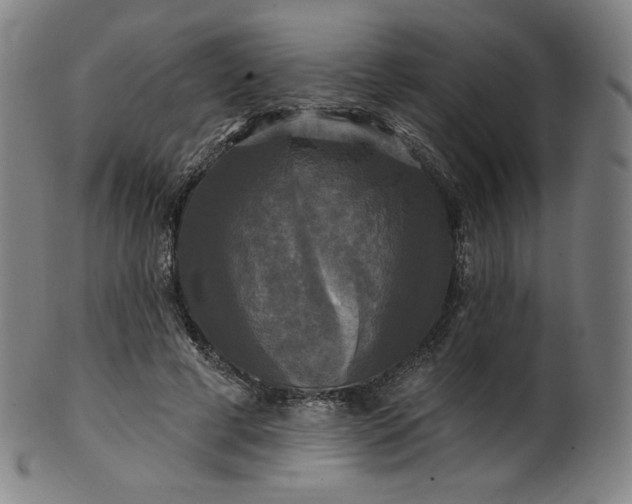 X0000099950593200806061544