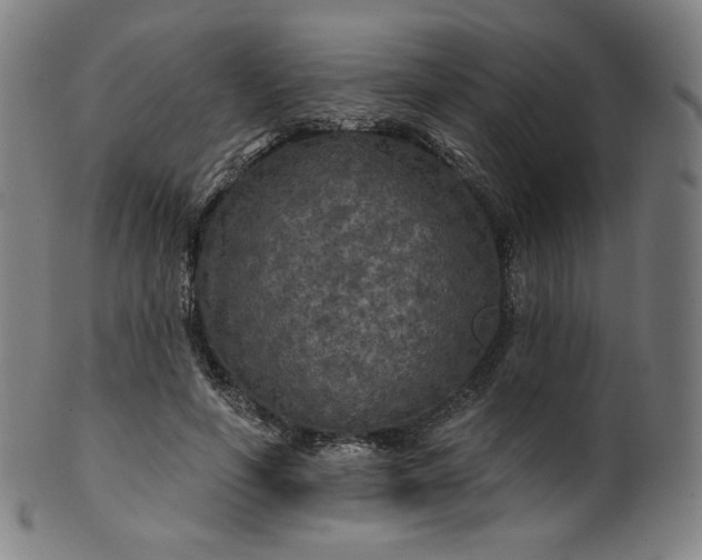 X0000099950594200806061544