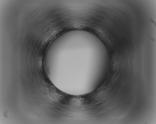 X0000099950595200806061544