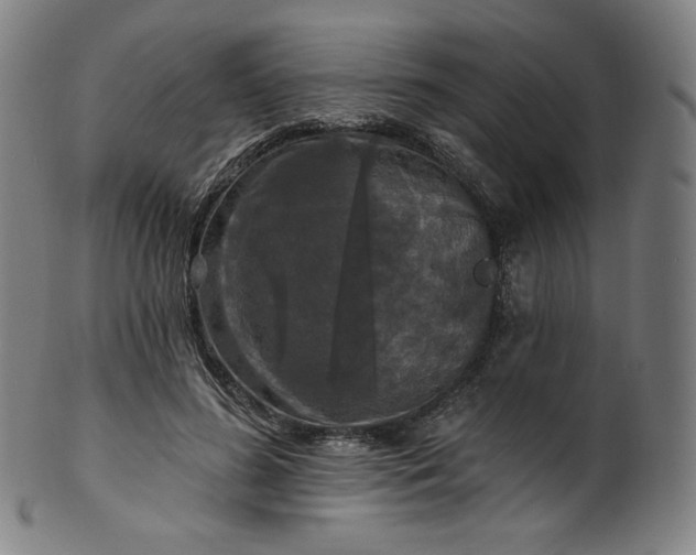 X0000099950596200806061544