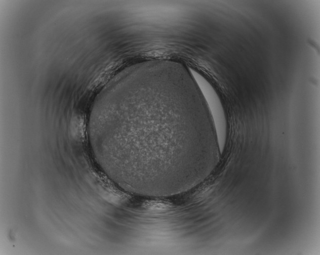 X0000099950597200806061544