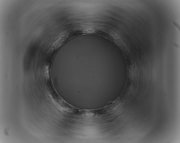 X0000099950598200806061544