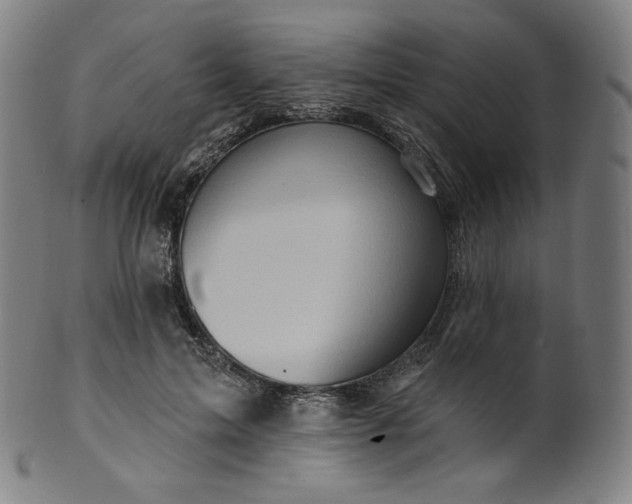 X0000099950599200806061544