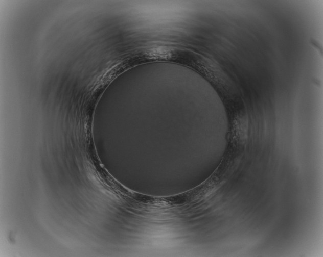 X0000099950600200806061544