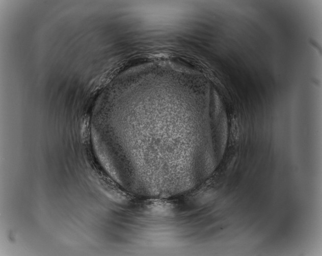 X0000099950601200806061544