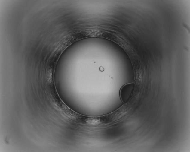 X0000099950602200806061544