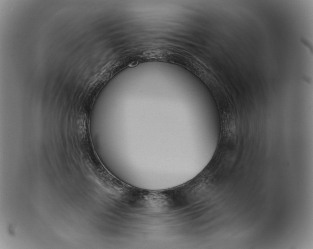 X0000099950603200806061544