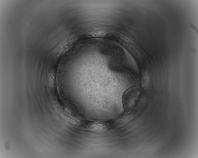 X0000099950604200806061544