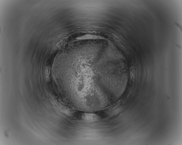 X0000099950605200806061544